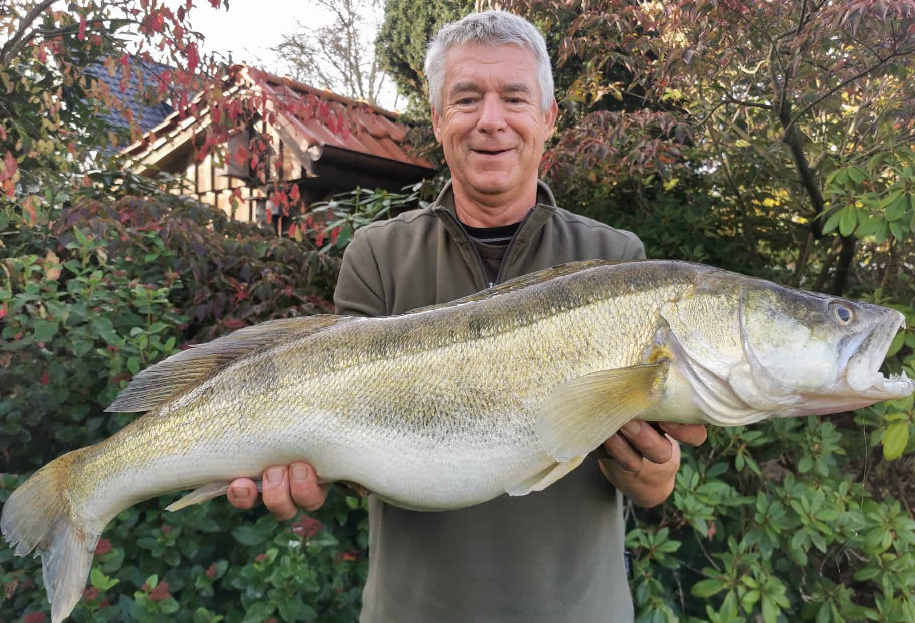 Read more about the article Zander 90cm, 6350g